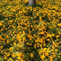 Photo taken at Doğatepe Parkı by Gülay Ç. on 5/13/2023