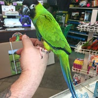 Photo prise au Zoo Creatures Pet Store par Zoo Creatures Pet Store le4/13/2017