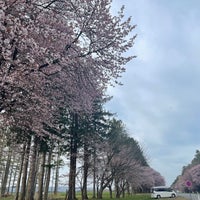 Photo taken at 静内二十間道路桜並木 by りむ茶bot .. on 4/28/2023