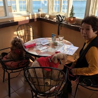 アクアペンション クッチェッタ Italian Restaurant In 浜松市 アクアペンション クッチェッタ Italian Restaurant In 浜松市