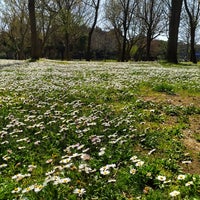 Photo taken at Florya Atatürk Ormanı by F.E on 3/29/2024