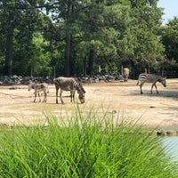 Photo taken at Virginia Zoo by Anthony F. on 6/6/2019