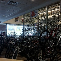 big shark bike shop