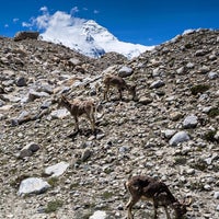 Foto tirada no(a) Mount Everest | Sagarmāthā | सगरमाथा | ཇོ་མོ་གླང་མ | 珠穆朗玛峰 por Tibet T. em 5/7/2017