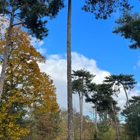 Photo taken at Bois de Boulogne by Alaa on 11/25/2023
