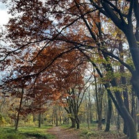 Photo taken at Bois de Boulogne by Alaa on 11/25/2023