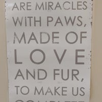 Blount County Animal Shelter - Pet Store