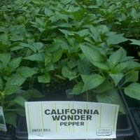 Mayo Garden Center 9629 Kingston Pike
