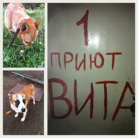 Photo taken at Приют для животных &quot;Вита&quot; by Александр М. on 11/25/2012