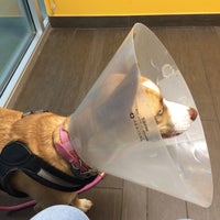 Banfield Pet Hospital Seminole Fl