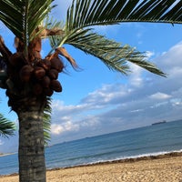 11/12/2022にTsvetelin K.がRappongi Beachで撮った写真