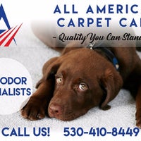 Photo prise au All-American Carpet Care par All-American Carpet Care le4/10/2017