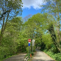 Photo taken at Réserve forestière du Rouge-Cloître by Bruno V. on 5/5/2021