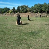 Springville Park - Dog Park