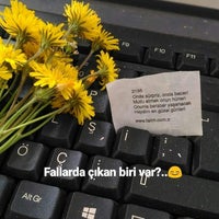 Karra Mobilya
