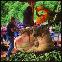 Photo taken at Haunted Pumpkin Garden At NY Botanical Garden by Robertstrvltips on 10/19/2013