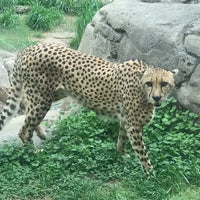 Photo taken at Dallas Zoo by Javier C. on 4/21/2022