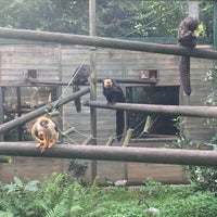 Photo taken at Zoo de Santillana by Filis M. on 9/15/2021