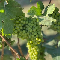 Foto diambil di GranMonte Vineyard and Winery oleh Scott🇭🇰🇨🇳🇹🇭🇨🇦 pada 12/28/2023