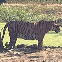 Photo taken at Safari World by Scott🇭🇰🇨🇳🇹🇭🇨🇦 on 2/13/2024