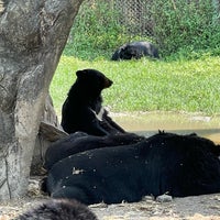 Photo taken at Safari World by Scott🇭🇰🇨🇳🇹🇭🇨🇦 on 2/13/2024