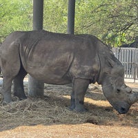 Photo taken at Safari World by Scott🇭🇰🇨🇳🇹🇭🇨🇦 on 2/13/2024