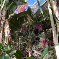 Foto scattata a National Botanic Gardens da мария м. il 10/1/2023