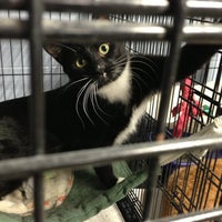 Get Almost Home Humane Society Gif