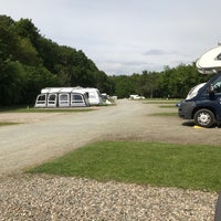 Delamere Forest Camping And Caravanning Club Site 1 Tip