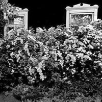 4/19/2013 tarihinde Kiraziyaretçi tarafından Фотогалерея Рахманинов Дворик / Photo gallery Rachmaninov Garden'de çekilen fotoğraf