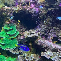 Photo taken at Aquarium by Nikolay B. on 7/3/2023