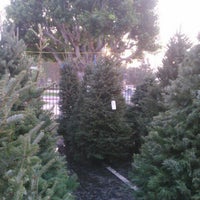 Photo taken at Armstrong Garden Centers by Pikarich24 on 12/10/2012
