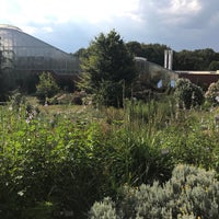 Photo taken at Botanická zahrada by Close on 8/8/2018