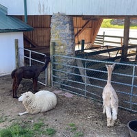 รูปภาพถ่ายที่ The Amish Farm and House โดย Wadha 🦋 เมื่อ 5/10/2022