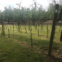 Photo taken at Hyland Estates Winery by Olivia K. on 5/5/2018