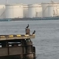 京浜工業地帯 Neighborhood In 川崎市