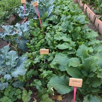 10/22/2017 tarihinde Mujde O.ziyaretçi tarafından Esta es una plaza'de çekilen fotoğraf