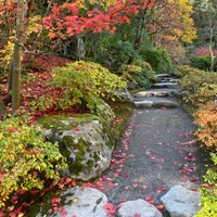 Photo taken at Seattle Japanese Garden by Egan F. on 10/30/2021