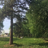 Photo taken at Городской Парк by Tanu C. on 5/27/2021