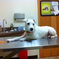 Photo taken at West Michigan Street veterinary clinic by Joseph B. on 6/16/2013