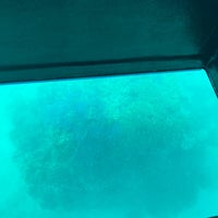 竹富島グラスボート 竹富 竹富島グラスボート 竹富