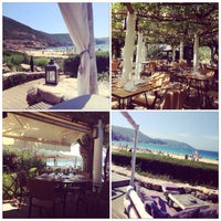 Restaurante Le Café De La Plage En Piana Menú Opiniones