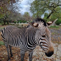 Photo taken at City Zoological Garden Warsaw by Oksana U. on 11/4/2023