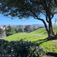 Photo taken at Alta Plaza Park by Tim P. on 4/11/2024