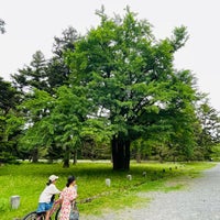 Photo taken at Kyoto Gyoen by maritpunkt on 5/6/2024