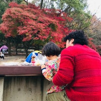 Photo taken at 子供の楽園 by maritpunkt on 11/22/2020