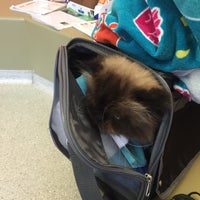 5/9/2015にNishant B.がPark Animal Hospitalで撮った写真