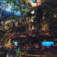 Photo taken at Rainforest Cafe by Christiana C. on 8/21/2017