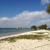 key biscayne dog beach key biscayne dog beach