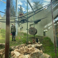 Photo taken at The Biblical Zoo by Александра П. on 1/12/2023